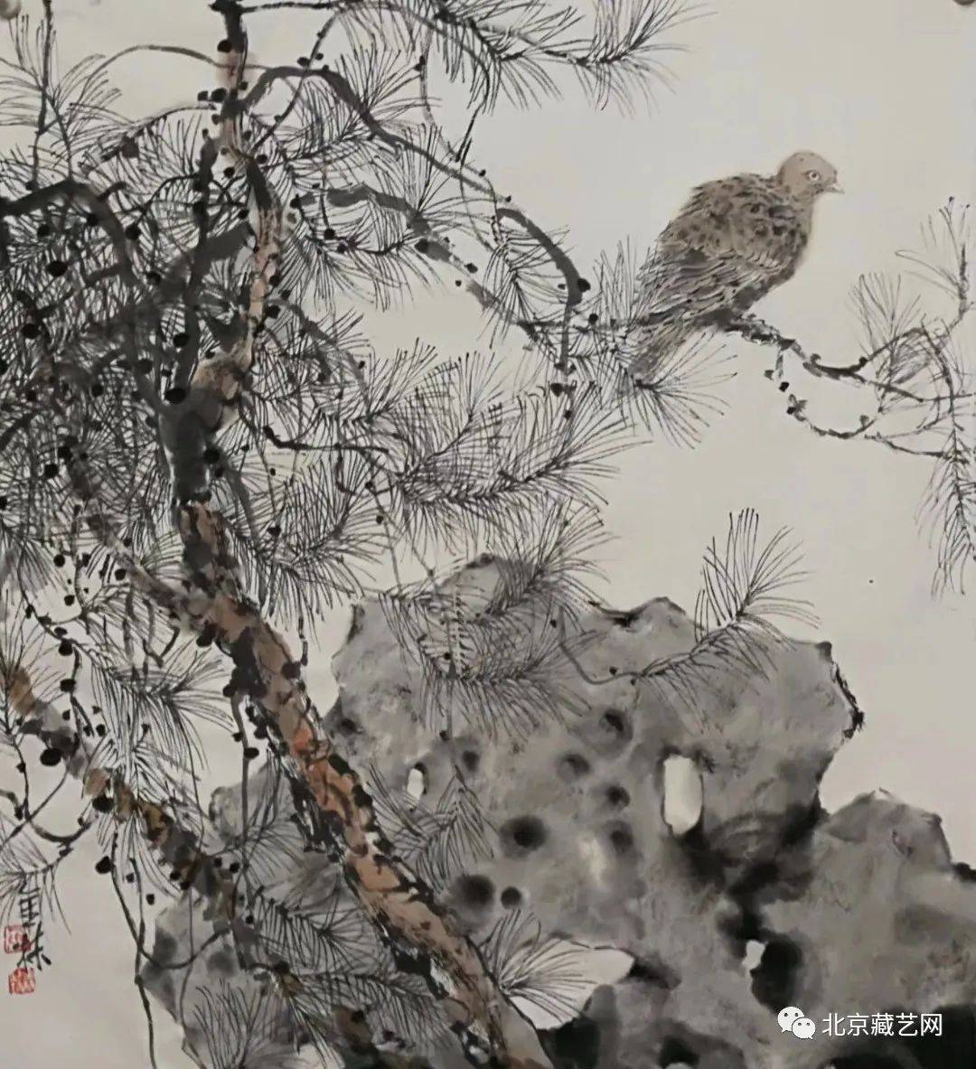 鲁金林 1961年8月生,江苏东台人,江苏省美协会员,江苏省花鸟画