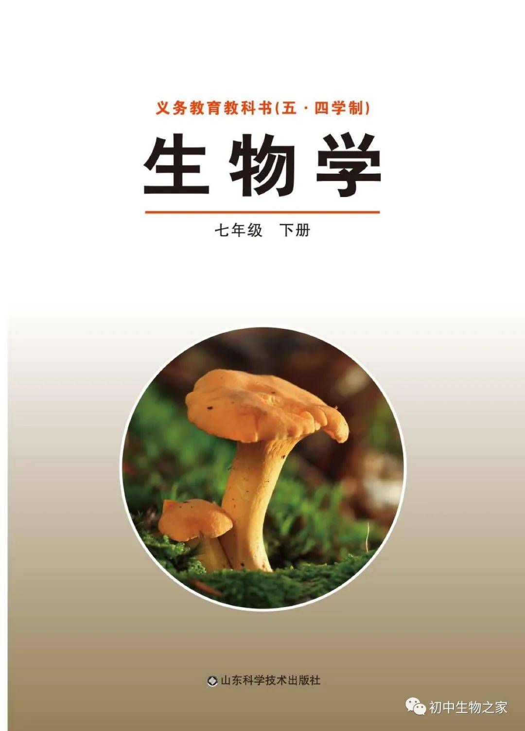 初中生物教案怎么写_教资面试教案写简案还是教案_初中作文教案上课