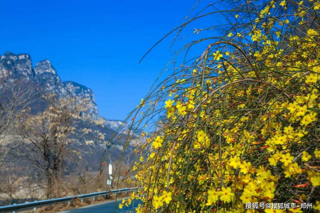 太暖了云台山春天最美气氛组已悄然上线