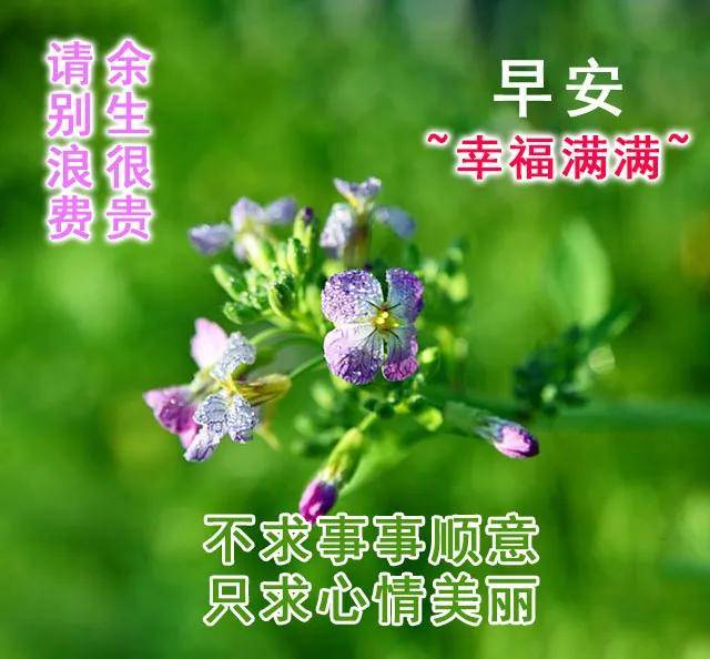 很温馨的早晨问候语录 朋友圈早安祝福图片分享