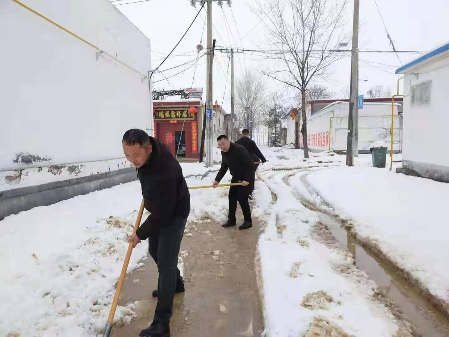 汤阴县:农家小院清雪忙