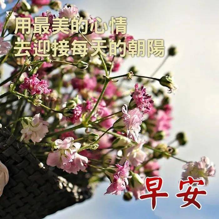 原创早上好!新的一天,祝事事顺心如意,愿你开心快乐