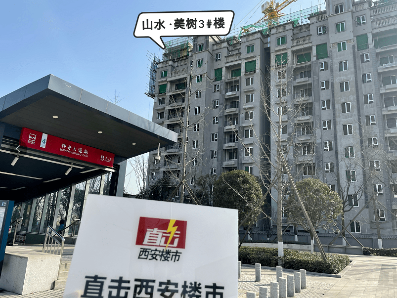 登记了还没去看过?实探"万人摇"山水美树工程进展!