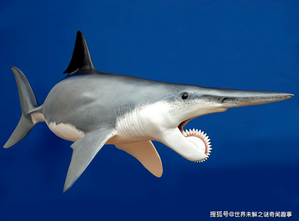 多地屡次出现"人脸鲨"和"独眼鲨",是新物种还是变异物种?