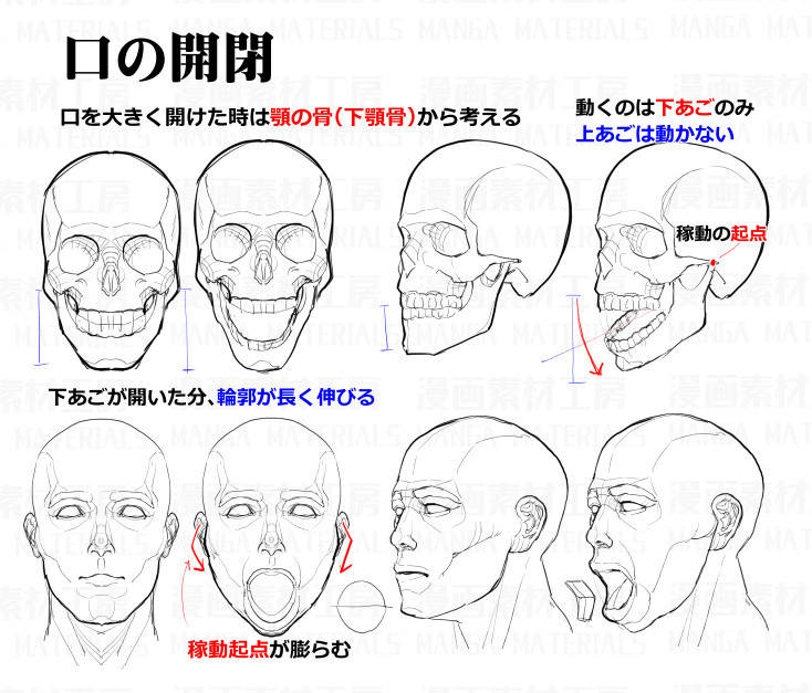 动漫脸部肌肉怎么画这组绘画素材示范很全面