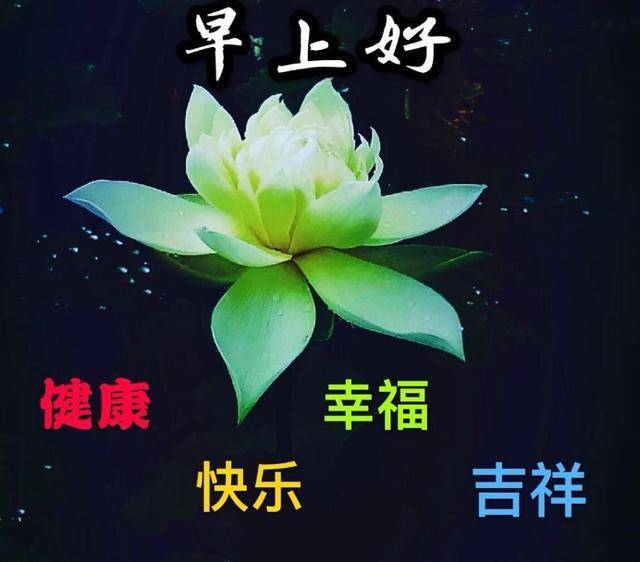 原创暖心早安祝福语图片微信群发温馨的早上好问候短信祝福图片