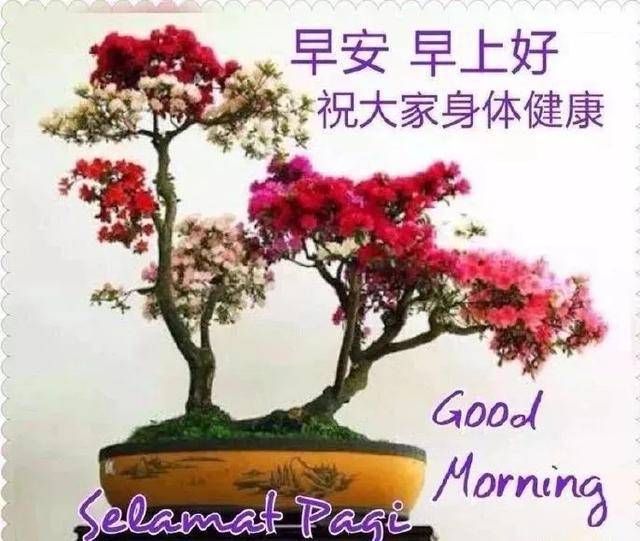 最新早安祝福语大全 非常漂亮的早安祝福语动态表情图片