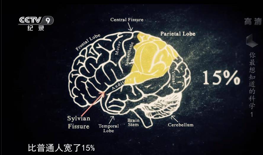 这部bbc最不正经的科教片,看得我笑出了鹅叫_爱因斯坦