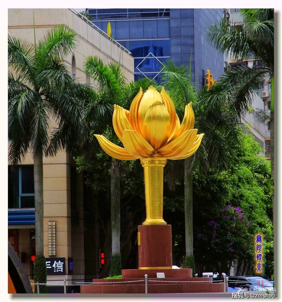 香港市花紫荆花