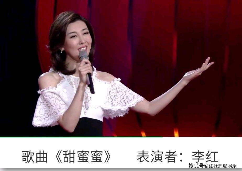 除此之外,李红也常主持大型文艺晚会,从《记住乡愁开播晚会》到