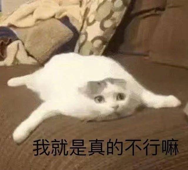 幽默搞笑表情包:一口把你吃掉
