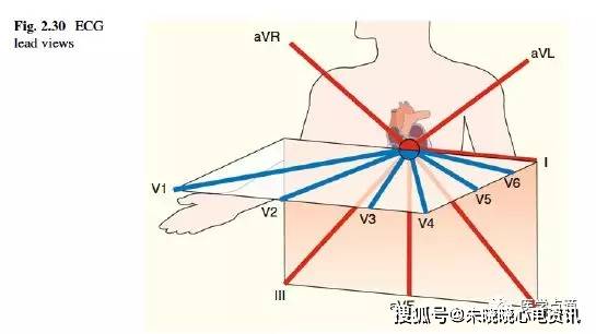 心电图入门级要点知识汇总,零基础也能懂!