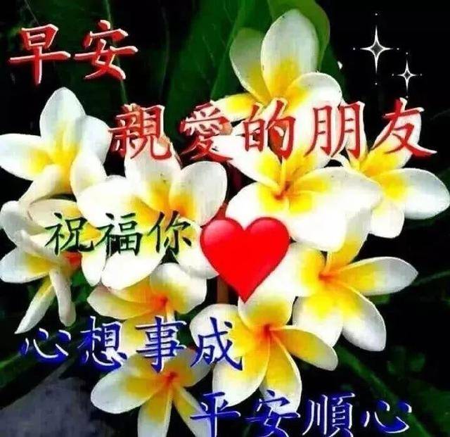 朋友圈早上暖心问候祝福语,早晨幸福祝福温馨短句