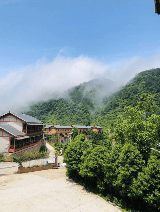 丰都避暑房青山绿水依山郡丰都与石柱的交接地天然的夏季空调
