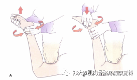 膝关节检查