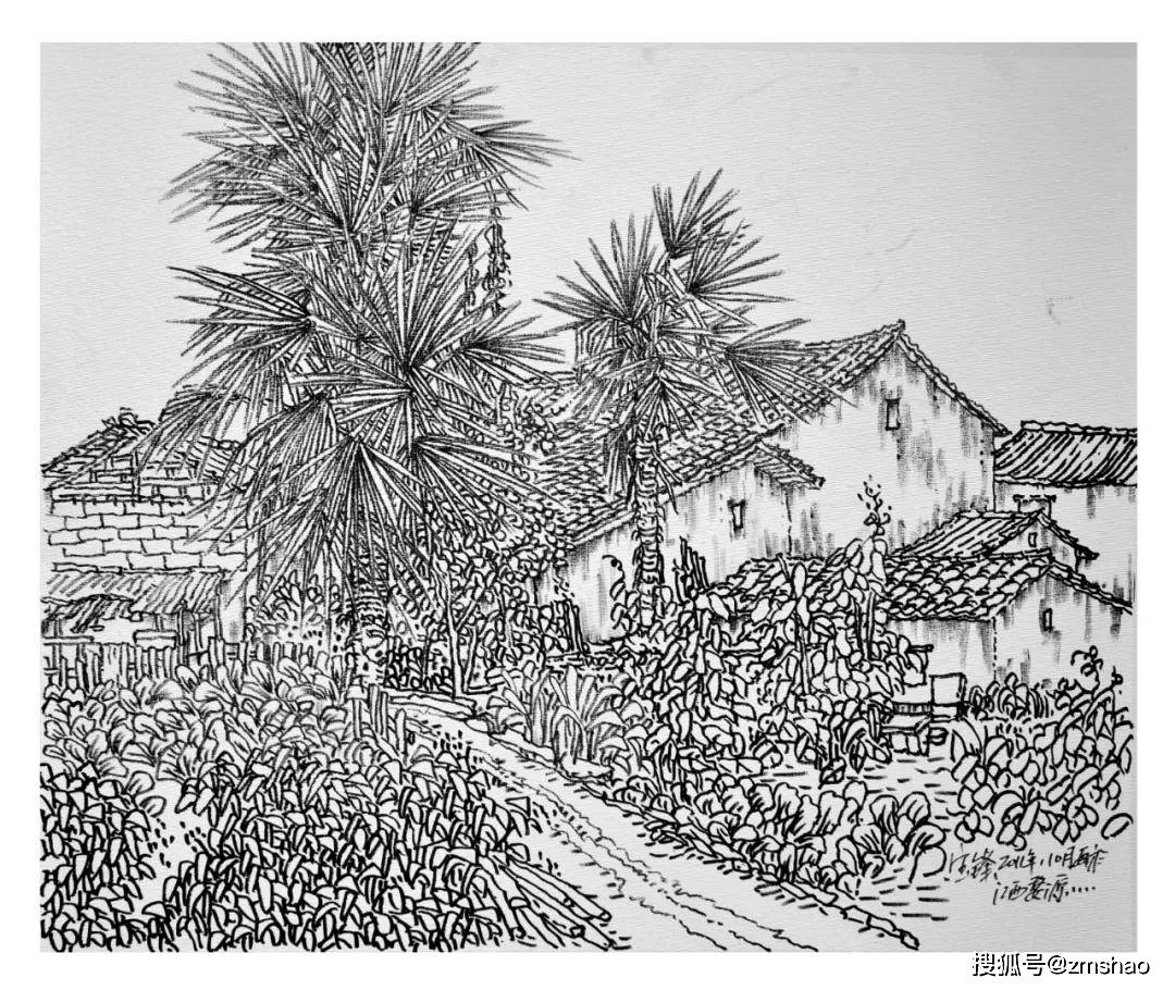 穆宝锋|线描风景系列