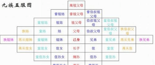 原创看一看古代刑法中的诛九族,具体是指哪几族?