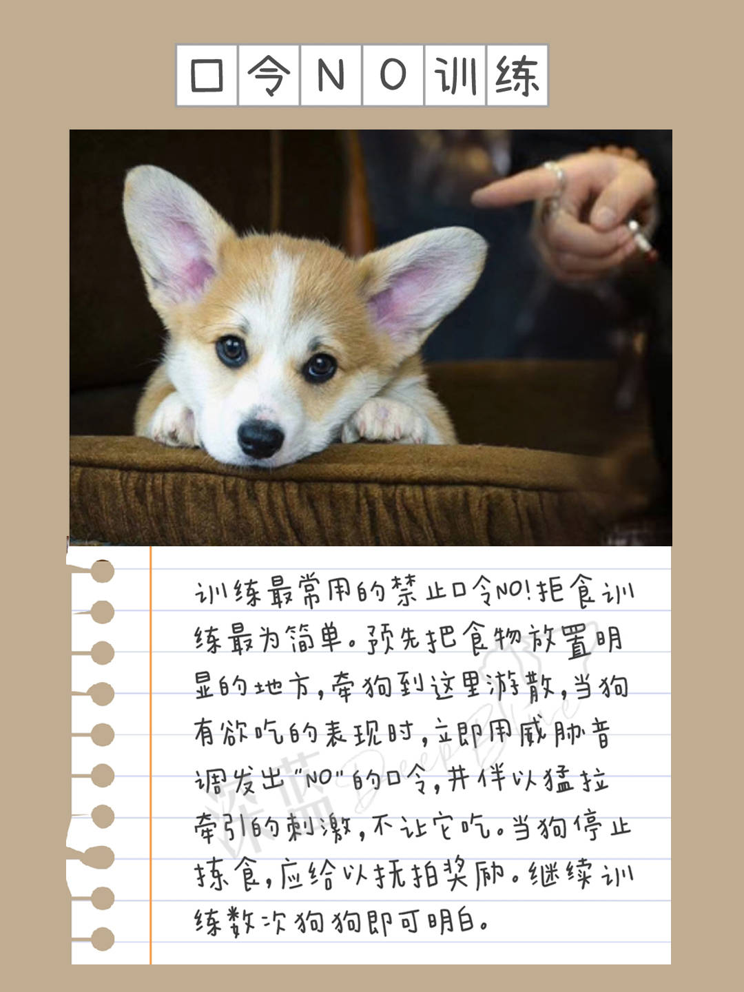 微博:深蓝柯基 微信公众账号:深蓝柯基