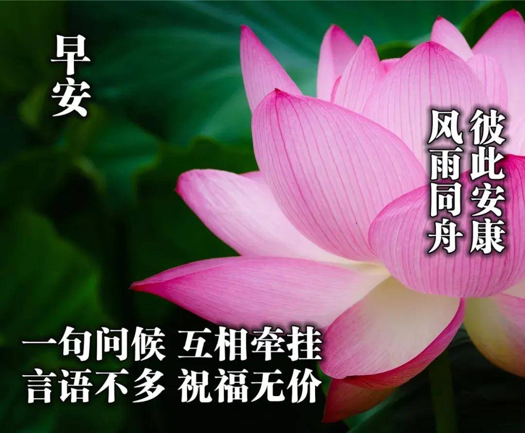 早上好,天冷了,暖暖的祝福,深深的问候,早安图片唯美句子