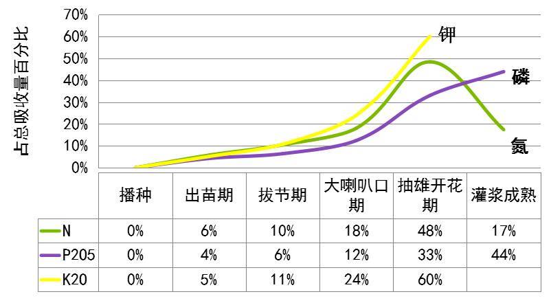 玉米生长全周期施肥方案:基肥为主,追肥为辅