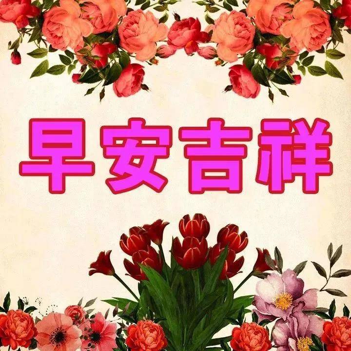 早上好问候语带图片,早安祝福语阳光图片表情大全