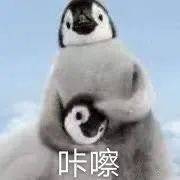 表情包|沙雕日常 贫僧这就还俗 没有那种世俗的欲望