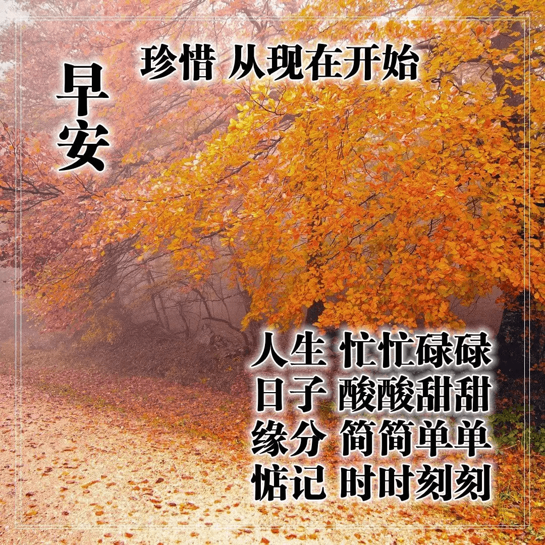 最美早上好问候语阳光句子,清晨早安温馨问候语集锦