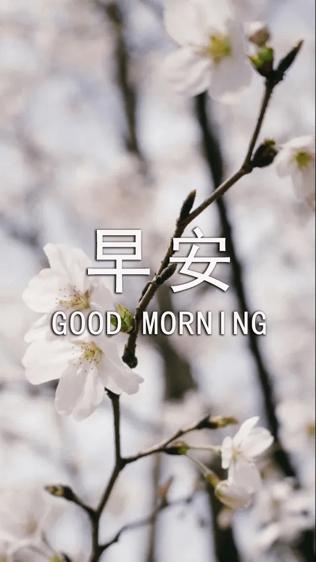 早安祝福语图片带字美图动态祝福,最漂亮早上好动态表情图片