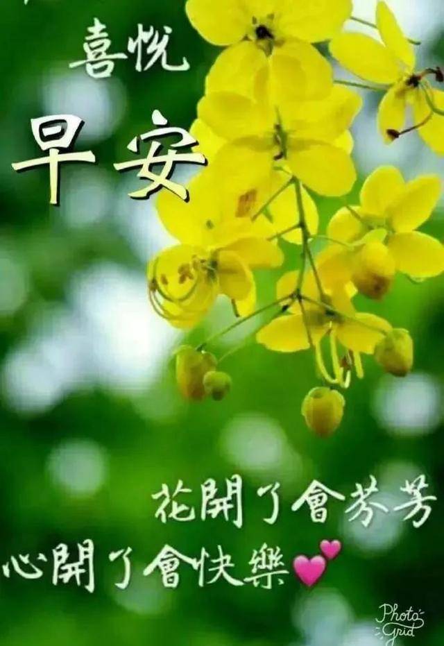 朋友圈早上好温馨图片带字,早上好问候祝福语带唯美图片