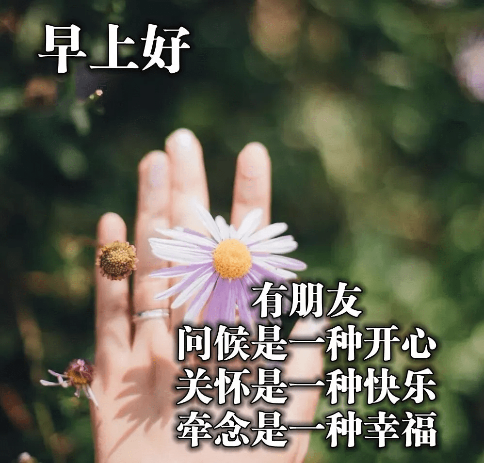 非常漂亮好看的早上好问候语图片 非常好看的早上好问候表情