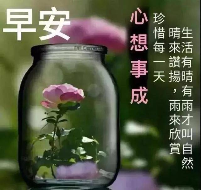 朋友圈早安励志语2021精选 早晨励志经典语录