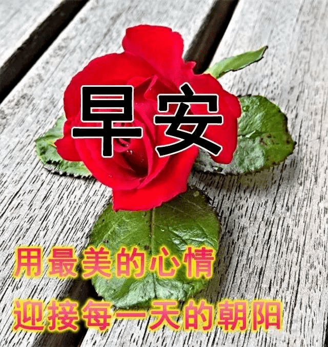 新版早上好问候语图片大全 2021最新早安祝福语带图片