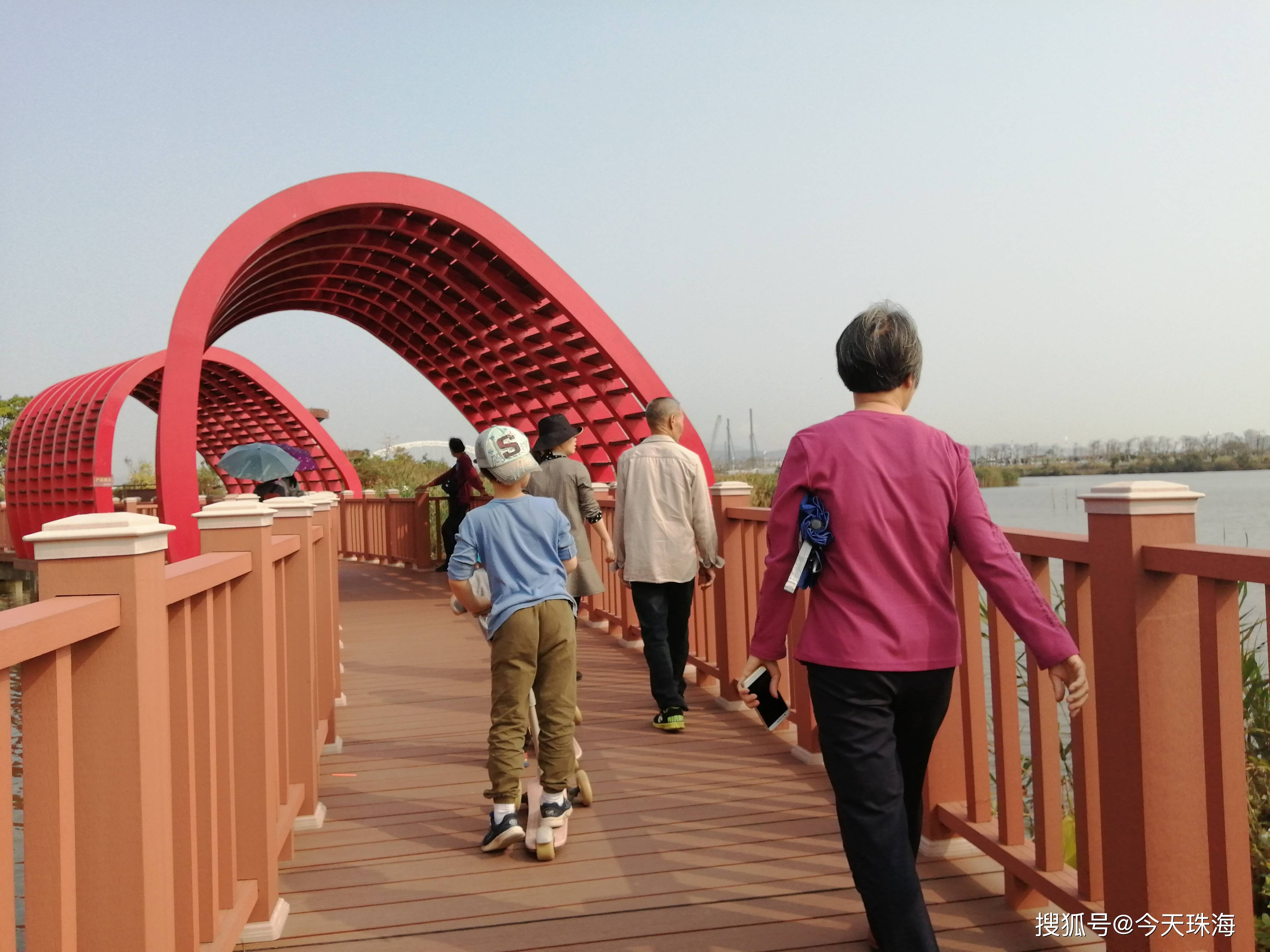 珠海横琴芒洲湿地公园|芒海浮绿,长湾聚灵>来珠海玩最