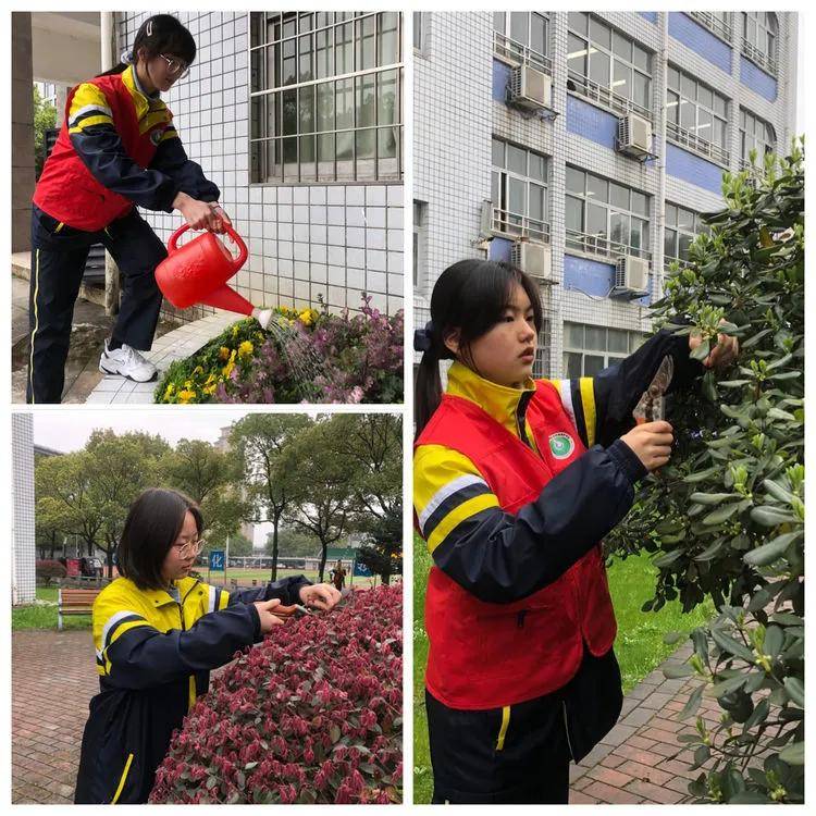 常德市芷兰实验学校高二年级学生志愿者在校园开展植树节活动