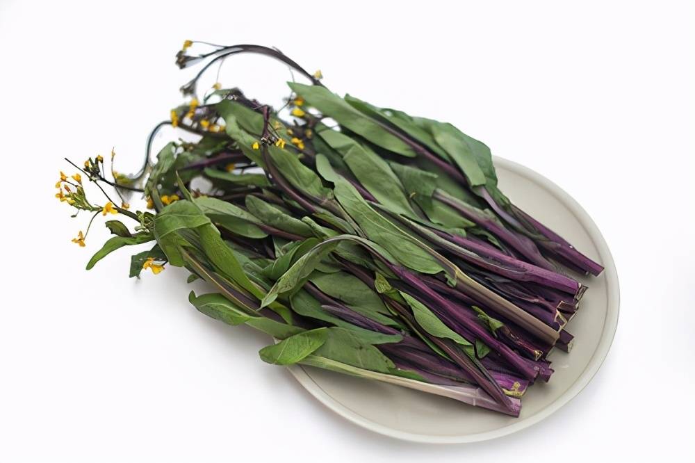 炝炒紫苔菜