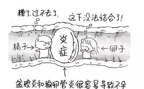 别让妇科炎症成为备孕路上的"拦路虎"!