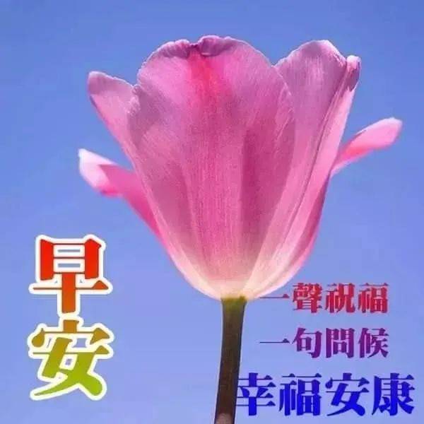 2021新版早上好图片,最新版早上好的图片 6张创意漂亮免打字早上好图片带祝福语 2021最新早上问候语图片带字