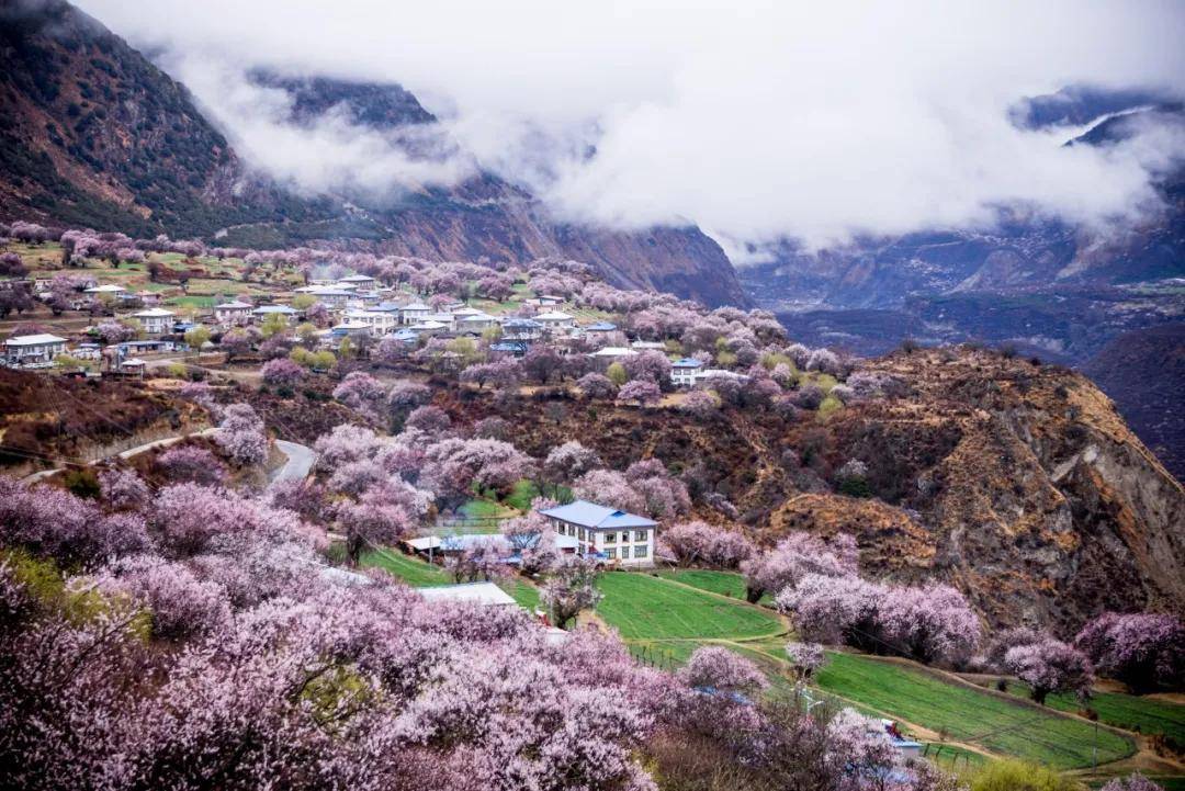 3,嘎拉桃花村