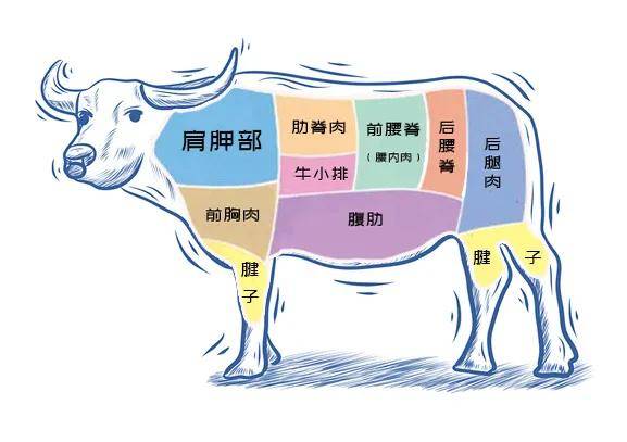 牛年的"牛肉食用计划",补身体,强免疫,今年更健康!