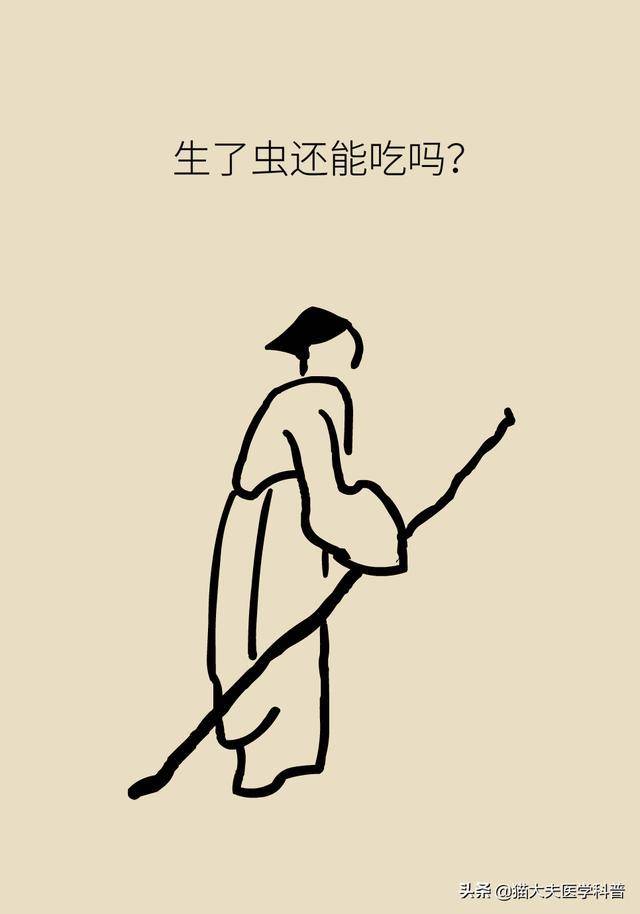 怎么才能不生虫?