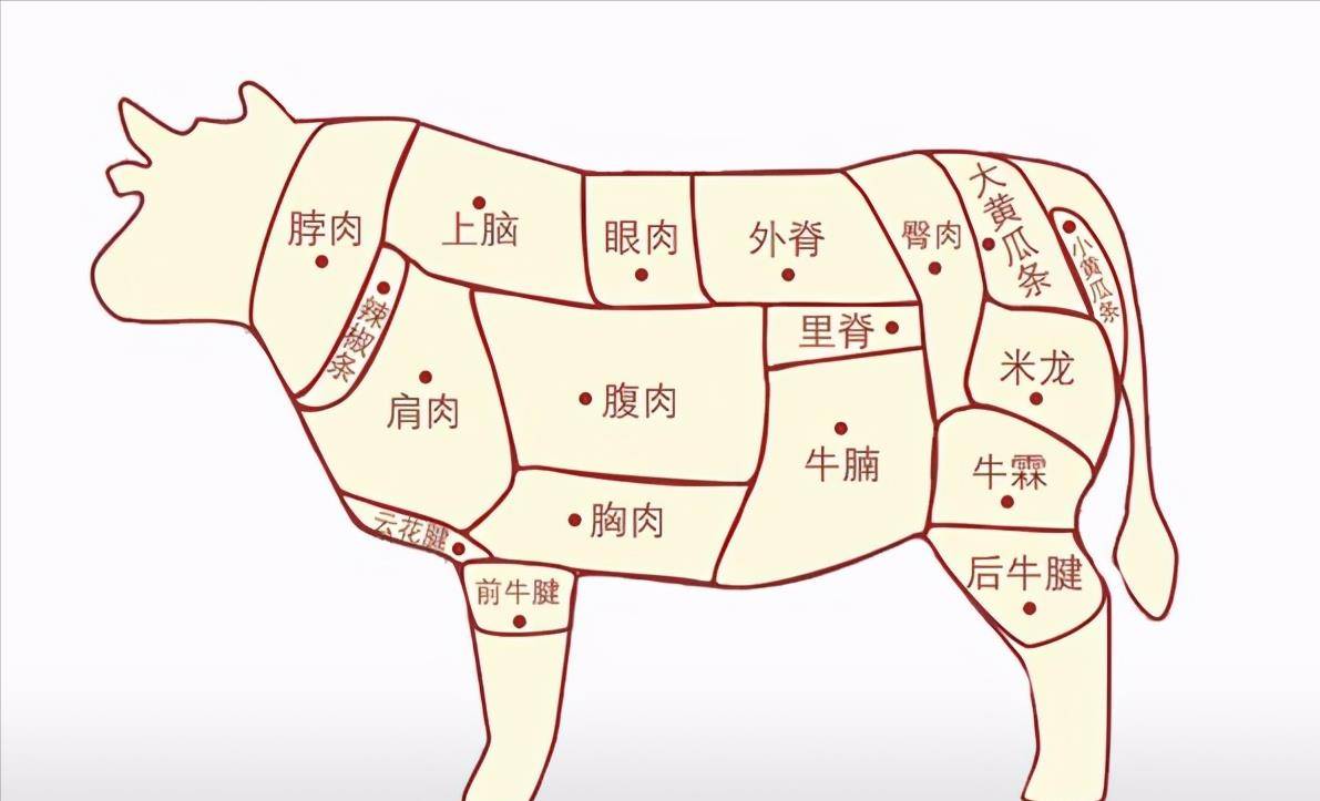 买牛肉,挑"金钱腱"还是"牛腱肉"?有啥区别?学会别再乱