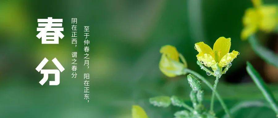 春分时节|昼夜平分春意扬