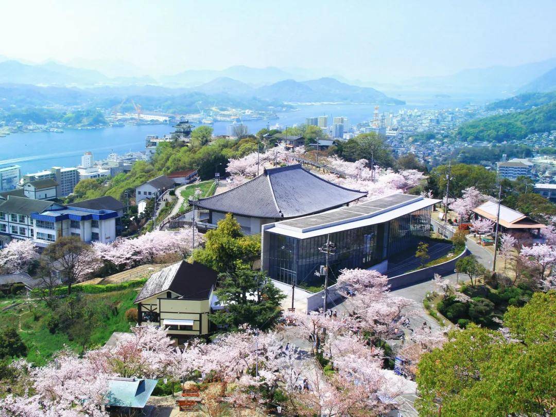 春光明媚隅田川,春夜楼台樱花宴.盘点日本的25处赏樱