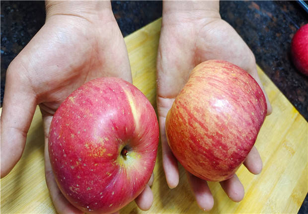 苹果的大小 来自搜狐网