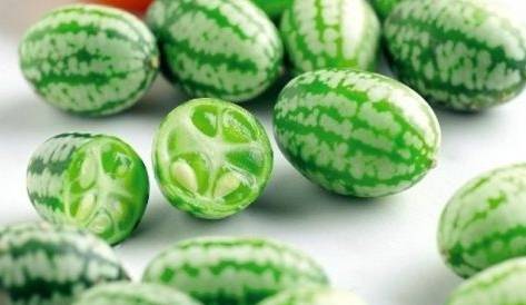 "拇指西瓜"是世界上最贵的西瓜,网友吃货:也只能看看了!