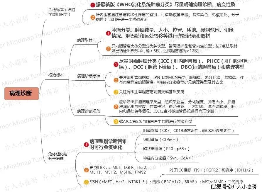 肿瘤思维导图胆管癌csco 2020诊疗指南