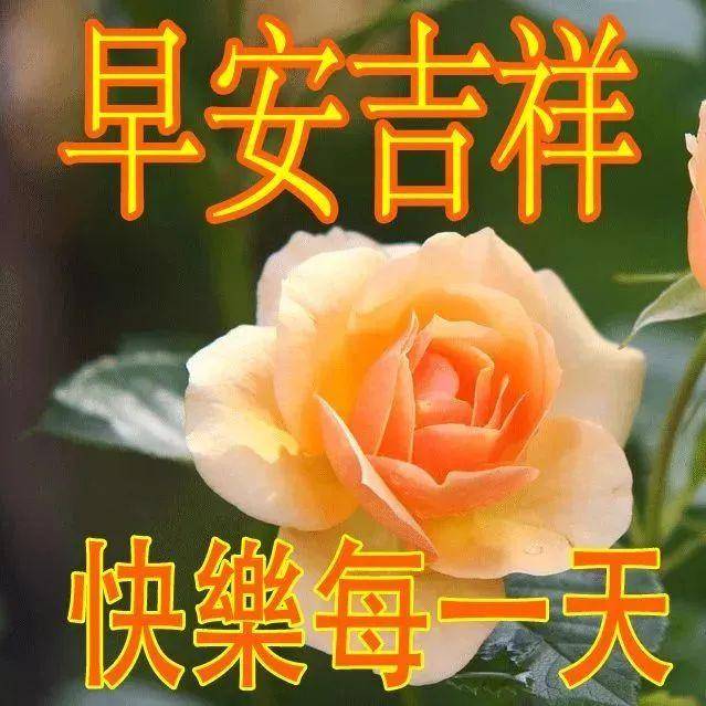 2021年早晨好问候表情图片带字温馨 早安短信问候祝福