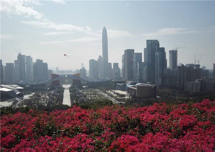 深圳莲花山向南正对面的就是市民中心广场,是整个深圳市的中轴中心.