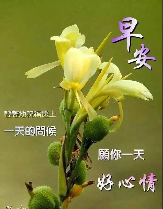 微信特好看早上好问候语表情图片 问候大家早上好的漂亮祝福图片