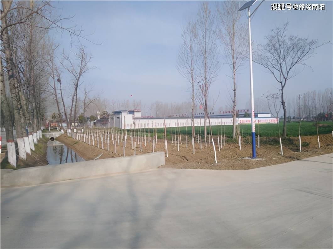 南阳市宛城区2021造林绿化观摩组到金华镇检查指导工作